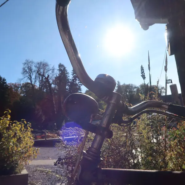 Güneşli bir günde bir bahçede şık, antika bir bisiklet.