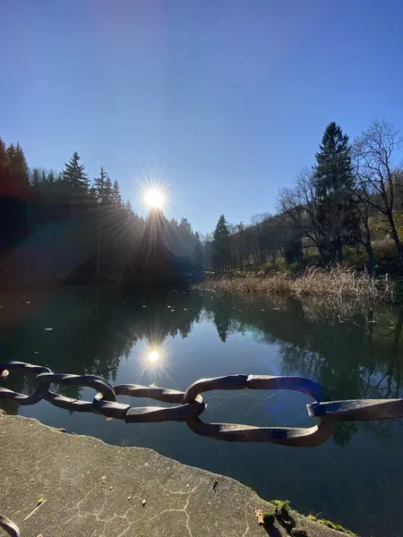 Dağlarda bir ormanla çevrili bir göl, gün ışığında parlıyor.