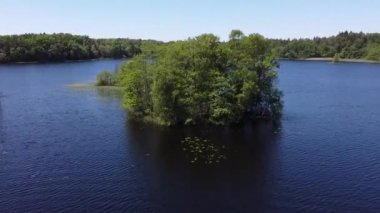 Yaz boyunca bir gölün ortasındaki küçük bir orman adasının üzerinde uçan bir dron atışı..