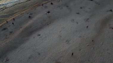 Kumsal ve turistlerle başlayan uzun bir drone çekimi, ufuk çizgisine ve ormanların arasına yerleşmiş küçük bir kasabaya dönüşüyor.