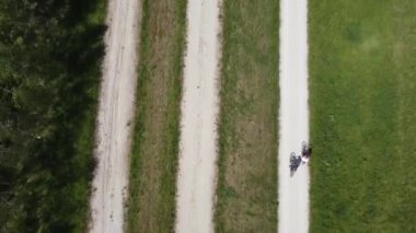 Yaz boyunca bisiklete binen bir bisikletliyle yeşil tarlaların üzerinde uçan bir dron görüntüsü.