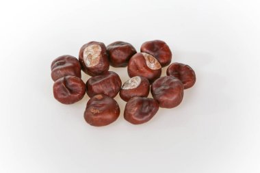 Beyaz arka planda bir kestane