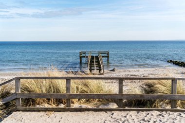 Baltık Denizi sahilini sudan ayıran ahşap bir çit. Kumsal kumlu ve su sakin.
