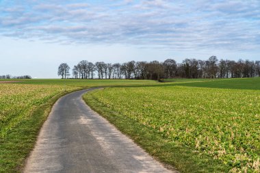 Arka planda ağaçlar ve çimenler olan bir yol. Yol boş ve gökyüzü soldan bulutlu.