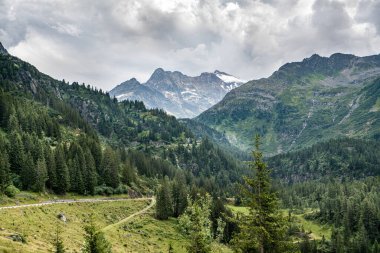 İsviçre Alpleri 'nde tepesinde kar olan bir dağ. Dağlar ağaçlarla çevrili. Gökyüzü bulutlu.