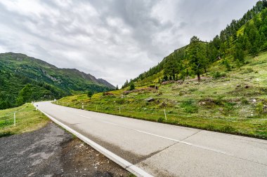 İki tarafında ağaçlar olan bir yol. Yol bomboş. Gökyüzü mavi. Hiç bulut yok.
