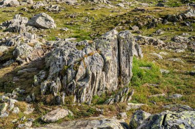 Büyük bir kaya kayalık bir arazide oturur. Kaya yosunla kaplı ve birkaç küçük deliği var.