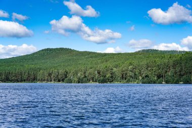 Lake Turgoyak in the southern Urals in Russia. A body of water with trees in the background. The water is green and calm. The sky is cloudy clipart