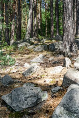 Rusya 'daki Faith Gölü Turgoyak Ural adası. Ormanın ortasında, bir su kütlesinin yanında büyük bir kaya bulunur. Kaya ağaçlarla çevrili ve su sakin.