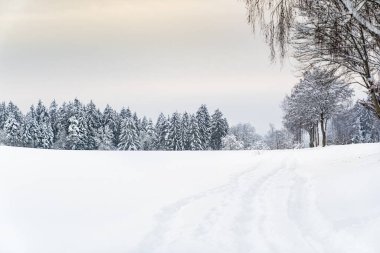 Arkasında ağaçlar olan karlı bir tarla. Kar derin ve zemin karla kaplı.