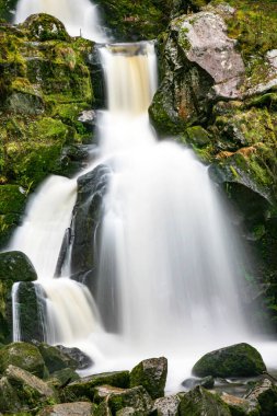 Triberg Kara Ormanı 'nda sisli bir spreyli bir şelale. Su beyaz ve kayalar gridir. Şelale yosun ve kayalarla çevrili.