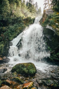 A waterfall in Triberg Germany black forest is flowing into a river. The water is clear and the rocks are green. The waterfall is surrounded by trees clipart