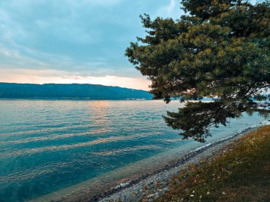 Bir ağaç bir su kütlesinin yanındadır. Su mavi ve gökyüzü bulutlu.