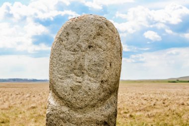 Ural Rusya 'daki Arkaim. Yüzü oyulmuş büyük taştan bir bebek. Yüzü sakallı bir adama ait.