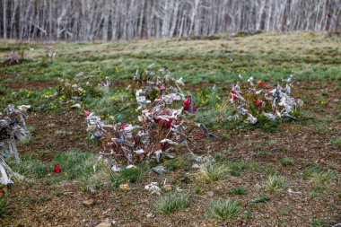 Birkaç yabani otla dolu bir çiçek tarlası. Çiçekler beyaz ve kırmızıdır. Arkaim Ural Rusya 'da tarlada birkaç kuş var.