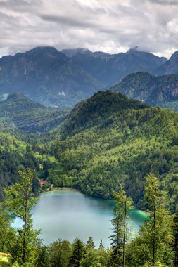 A alps mountain range in Germany with a alat lake in the foreground. The lake is surrounded by trees and mountains. The sky is cloudy and the mountains are covered in snow clipart