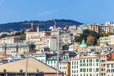 İtalya 'daki bir genoa şehrinin tepesinde bir sürü bina ve yeşil bir kubbe var. Binalar çoğunlukla pembe ve beyaz.