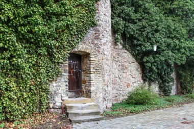 Üzerinde sarmaşık büyüyen taş bir bina. Binanın kapısı ve taş bacası var.