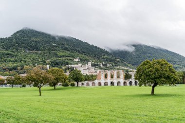 Gubbio İtalya Umbria 'da arka planda iki ağaç ve bir bina olan bir alan. Ağaçlar yeşil ve tarlalar yemyeşil.