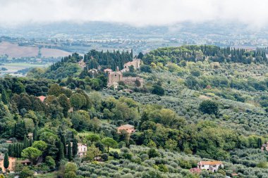 İtalya 'da Perugia Umbria' da evleri ve ağaçları olan bir yamaç. Evler kahverengi ve beyaz. Ağaçlar yeşil.