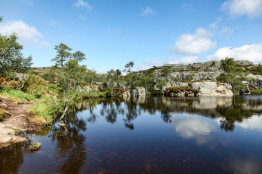 Norveç 'te arka planda ağaç olan bir göl. Su sakin ve berrak. Gökyüzü mavi ve bazı bulutlar var. Huzurlu ve huzurlu bir sahne.