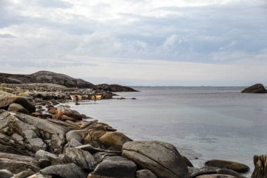 Norveç 'te kayalık bir kıyıda iki küçük tekne suda duruyor. Su sakin ve gökyüzü bulutlu. Sahnenin huzurlu ve huzurlu bir atmosferi var.