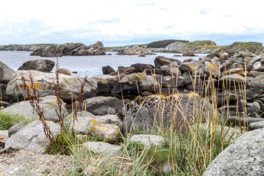 Norveç 'te arka planında küçük bir su kütlesi olan kayalık bir kıyı şeridi. Kayalar dağılmış ve çimenler seyrek. Sahne sakin ve huzurlu, su ve kayalar bir huzur hissi yaratıyor.