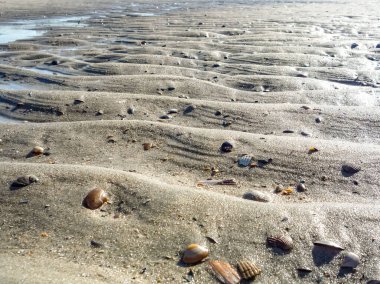 Almanya 'nın Norderney Adası' ndaki Wadden Denizi plajı kumla kaplıdır ve bir sürü dalgalanması vardır. Su sakin ve kum ıslak.