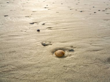Almanya 'nın Norderney Adası' ndaki Wadden Denizi plajı kumla kaplıdır ve bir sürü dalgalanması vardır. Su sakin ve kum ıslak.