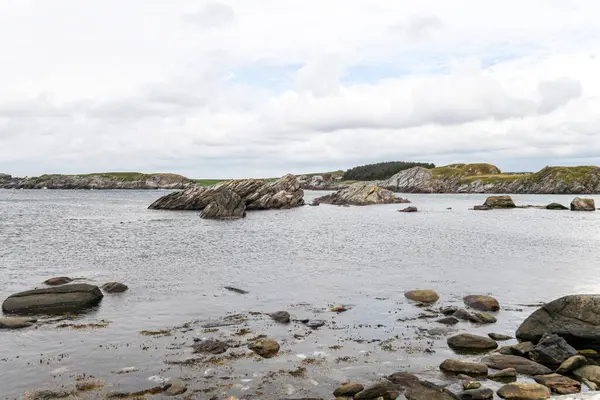 Norveç 'in arka planında bir su kütlesi olan kayalık bir kıyı şeridi. Su sakin ve kayalar kıyı boyunca dağılmış. Sahnenin huzurlu ve huzurlu bir atmosferi var.