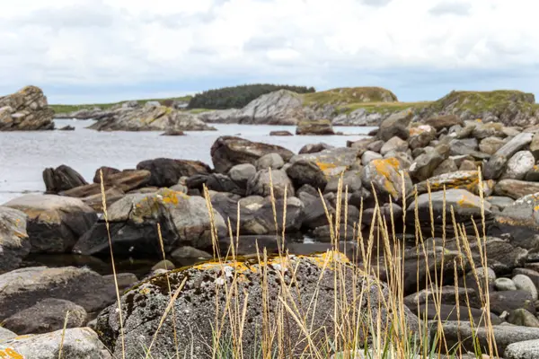 Norveç 'te arka planında küçük bir su kütlesi olan kayalık bir kıyı şeridi. Kayalar dağılmış ve çimenler seyrek. Sahne sakin ve huzurlu, su ve kayalar bir huzur hissi yaratıyor.
