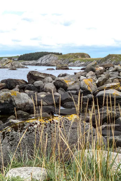 Norveç 'te arka planında küçük bir su kütlesi olan kayalık bir kıyı şeridi. Kayalar dağılmış ve çimenler seyrek. Sahne sakin ve huzurlu, su ve kayalar bir huzur hissi yaratıyor.
