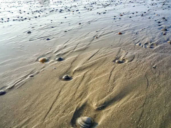 Almanya 'nın Norderney Adası' ndaki Wadden Denizi plajı kumla kaplıdır ve bir sürü dalgalanması vardır. Su sakin ve kum ıslak.