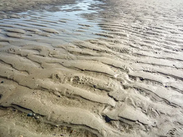 Almanya 'nın Norderney Adası' ndaki Wadden Denizi plajı kumla kaplıdır ve bir sürü dalgalanması vardır. Su sakin ve kum ıslak.