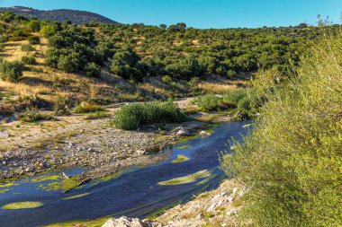 İtalya 'daki Sardunya adasında üzerinde köprü olan bir nehir. Su temiz ve çimenler yeşil. Huzurlu ve huzurlu bir sahne.