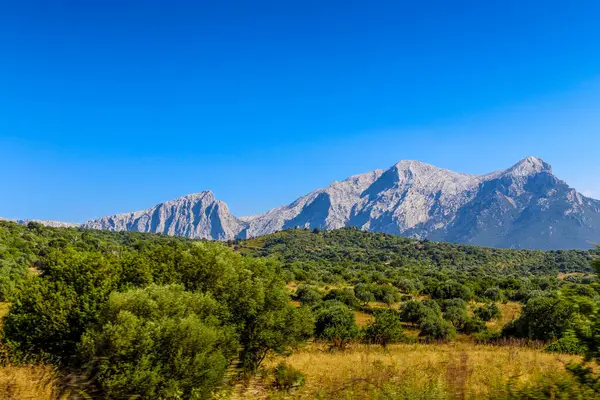 Dağlar yemyeşil ağaçlarla kaplıdır ve gökyüzü parlak bir mavidir. İtalya 'nın Sardunya adasında bulutlar görülmez. Dağların ağaçların tepesinde yükseldiği sahne huzurlu ve huzurlu. Hava kıtır kıtır