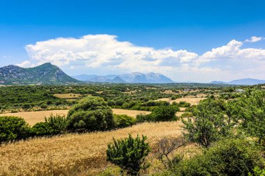 İtalya 'daki Sardunya Adası' nın arka planında geniş bir dağ sırasına sahip güzel bir manzara. Gökyüzü açık ve mavidir, ve güneş parlıyor. Çimler kuru ve kahverengi.