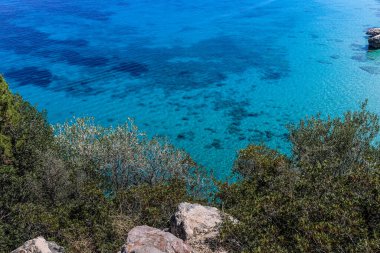 Kayalık bir kıyı şeridi olan güzel mavi bir okyanus. Su sakin ve berrak ve ön plandaki ağaçlar manzaraya huzur katıyor.