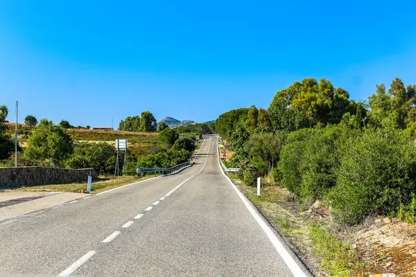 İtalya 'da Sardunya adasında bir yol kenarında birkaç ağaç ve yol kenarında bir tabela var. Yol boş ve gökyüzü mavi.