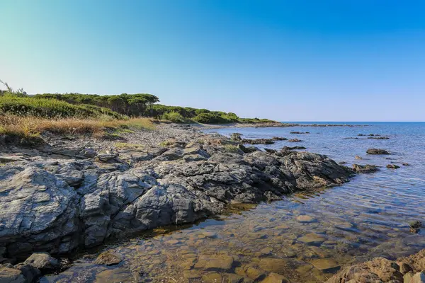 İtalya 'nın Sardunya adasında arka planda sakin bir okyanus olan kayalık bir kıyı şeridi. Kayalar kıyı şeridi boyunca dağılmış, resim gibi bir manzara yaratıyor. Su koyu mavi bir renktir ve gökyüzü berrak ve parlaktır.
