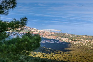 Güzel bir şehir ve okyanus manzarası. Şehir küçük ve bir sürü ağacı var.