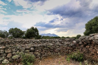 Birkaç ağacı ve bulutlu gökyüzü olan kayalık bir tarla. Sahne, İtalya 'daki Sardunya Adası' ndaki Nuraghe-Mannu Arkeolojik Bölgesi 'ndeki antik bir taş kapı binası kadar kasvetli ve ıssız.
