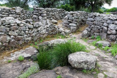 Birkaç ağacı ve bulutlu gökyüzü olan kayalık bir tarla. Sahne, İtalya 'daki Sardunya Adası' ndaki Nuraghe-Mannu Arkeolojik Bölgesi 'ndeki antik bir taş kapı binası kadar kasvetli ve ıssız.