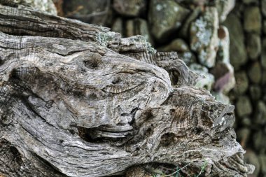 Büyük soyut bir ağaç kütüğü taş bir duvarın önünde duruyor. Kütük eski ve pürüzlü, pürüzlü bir dokusu var. Taş duvar uzun ve heybetli. Yalnızlık ve yalnızlık hissi yaratıyor.