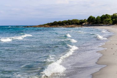 İtalya 'da Sardunya adasında berrak mavi gökyüzü ve sakin bir deniz olan bir sahil. Kum beyaz ve su sakin.