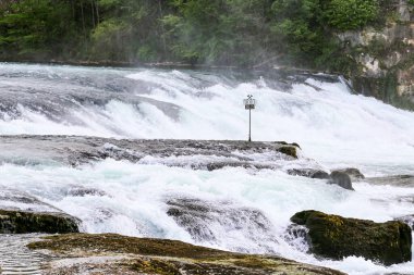 Schaffhausen İsviçre 'de bir Ren şelalesi ve direğe tünemiş bir kuş. Su akıyor ve kuş gökyüzüne bakıyor.