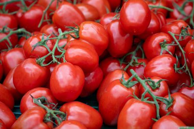 Bir grup kırmızı domates üst üste yığılmış. Domatesler olgunlaştı ve yenmeye hazır.