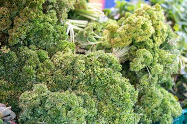 Bir demet yeşil bitki üst üste yığılmış. Bitkiler taze ve sağlıklı görünüyor.