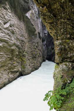 İsviçre Alplerinde Aare Vadisi 'nden akan bir nehir olan dar bir geçit. Su berrak ve sakin. Geçit kayalar ve ağaçlarla çevrili.