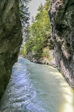 İsviçre Alplerinde Aare Vadisi 'nden akan bir nehir olan dar bir geçit. Su berrak ve sakin. Geçit kayalar ve ağaçlarla çevrili.